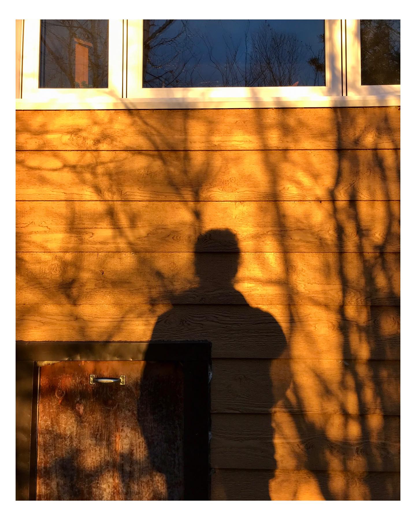 — Les ombres se font disparition —
À défaut de soleil
une empreinte
se réclame de notre monde
capture flottante
défiant les courbures
nous la savons
sans la connaître
nous la volons
sans la vouloir
quelle époque diaphane
à trop fuir la lumière
on devient obsolète
on s’étonne du blanc
qui pourchasse nos murs
plus de blanc
encore blanc
jusqu’au fond des paupières
on maquille nos nuits
pour ne plus s’enfarger
au doré qui dépasse
extinction du sensible
la menace des espèces
je resterai de dos
jusqu’à ce que le jour tombe
chercherai nuance
reportée à plus tard
les ombres se font
disparition
avec elles nos souvenirs
leur contour est
plus doux
que la réalité
humanité oblige
s’appliquer à ne pas oublier
aller dans la grande cour arrière
celle qui sent le lilas
le sapin, le sauvage
là où les ombres sont multiples
complexes
entrelacs de beauté
y cueillir les roches
où demeurent nos espoirs
à semer
dans nos poches vide de sens
pour que poussent des montagnes
sur le dos des enfants
stratégie comme une autre
pour survivre à demain
- 7 novembre 2024 -
.
.
.
.
.
#poesie #ressac #poesiequebecoise #litterature #ecriture #ombresetlumieres #sunset #poesiesoleil #litteraturequebecoise #poeme #poetry #writing #poèteencavale #PoesieNordique #fall #automne #dehorsnovembre #resister #chercherlanuance #politiqueamericaine #lamortdenosombres