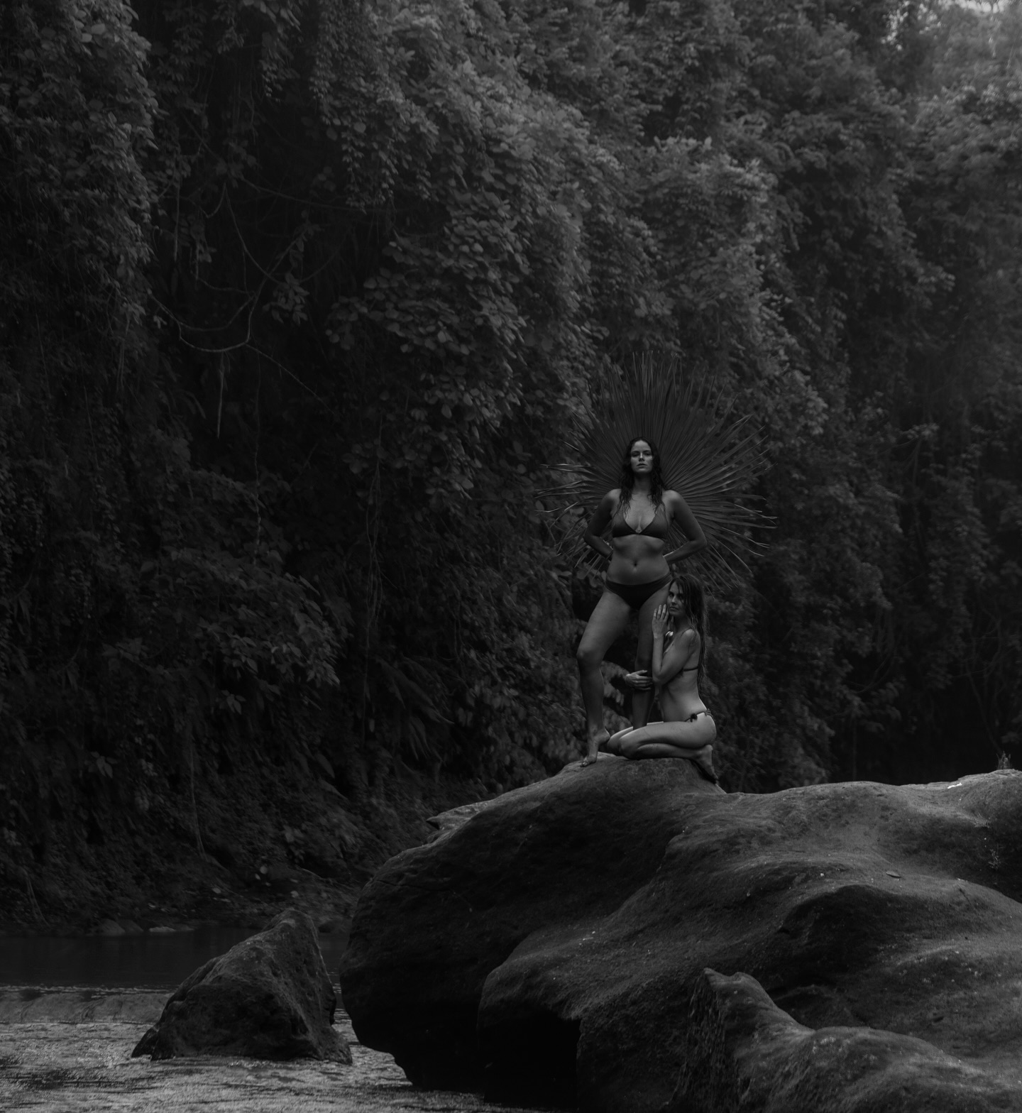 Go out in the woods, go out. If you don’t go out in the woods, nothing will ever happen and your life will never begin 🐺
📸 @cynthiaseeks
#shewolfretreats