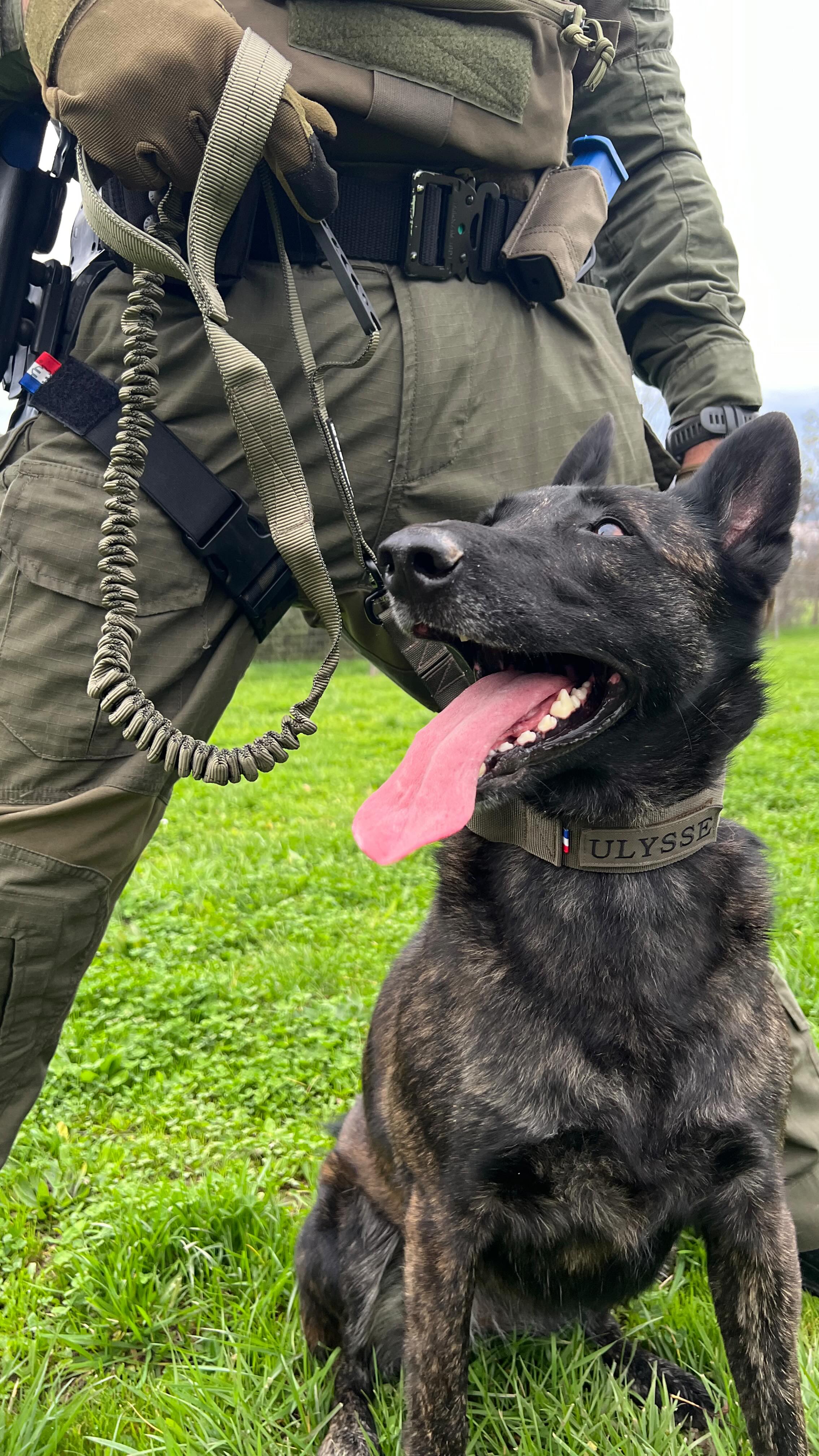 Préparez votre chien à affronter toutes les missions avec K9 Tactic.
Découvrez nos colliers et laisses conçus pour résister aux conditions extrêmes, alliant qualité militaire, robustesse et confort optimal. 💪🐾
📸 Dans cette vidéo, on vous montre l’attention portée aux détails et la solidité de nos équipements K9. Que ce soit pour les professionnels ou les passionnés, chaque produit est pensé pour offrir un contrôle fiable et sécurisé dans les situations les plus exigeantes. 🚨
🇫🇷 Fabriqué en France
🔗 Lien en bio pour en savoir plus
#chien #k9 #k9training #madeinfrance #tactique