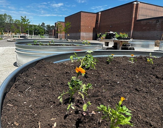 Exciting news! 🎉 We’re expanding our Grow-to-Learn program to the Elmbank community. Together, we can create more green spaces and enrich education. Stay tuned for updates! #PACTGrowToLearn #CommunityGardening