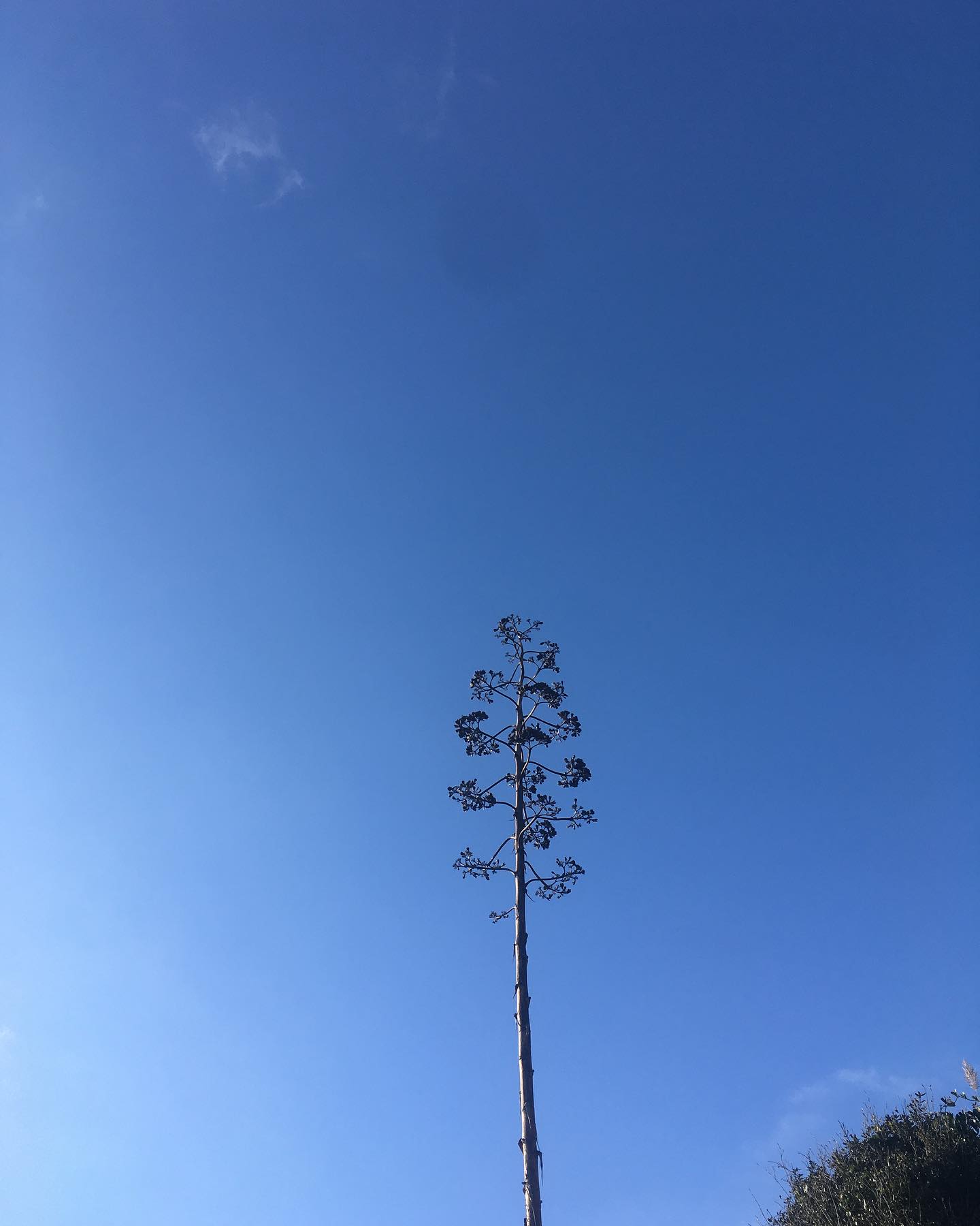 SURPRISE 🌞
Profitez de -10% sur votre commande jusqu’au 6 décembre !
Code : 10LESUDNOEL
Sur www.lesudatelier.fr
#lesudatelier #creationartisanalesfrançaises #bijouxdecréateur #atelierbijoux #faitmainfrançais #artisanatlocal #artisanbijoutiercréateur #bijouxmadeinfrance #createurdusud #bijouxintemporels #esterelcotedazur #esterelovers #mysaintraphael #massifesterel