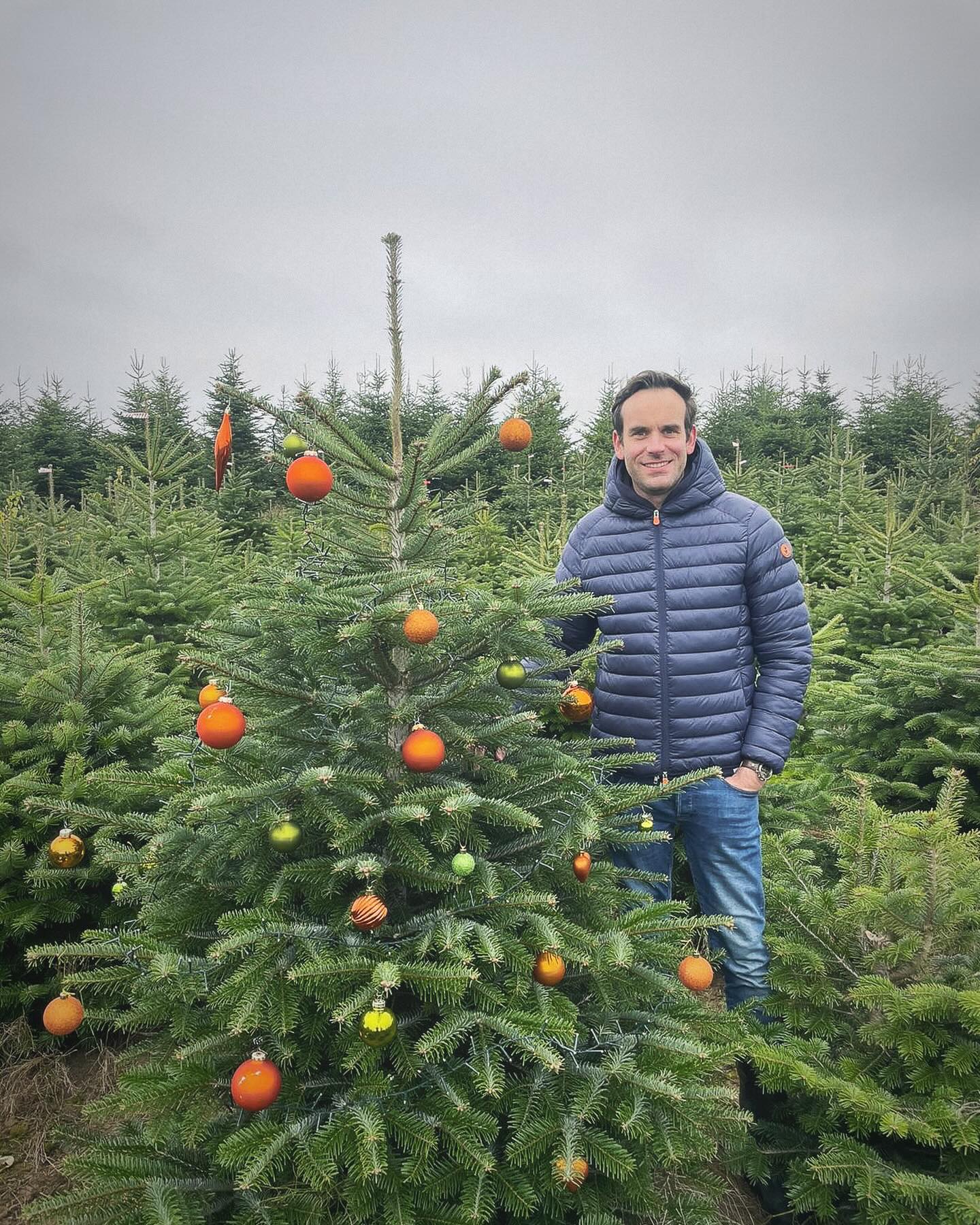 Baum gefunden, Kugeln dran – jetzt fehlt nur noch der Glühwein! 🍷🎄 #weihnachten #weihnachtsbäume #weihnachtszeit