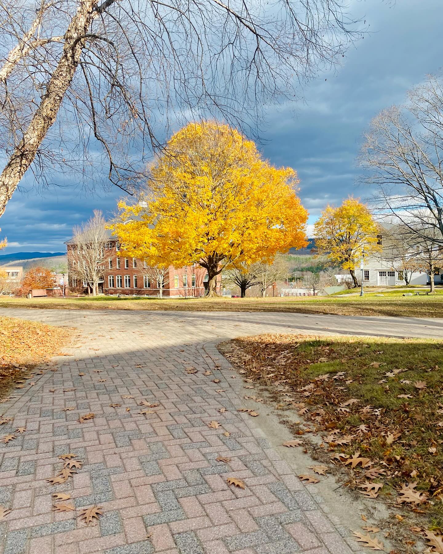 Grateful to be asked to return to my alma mater for a third time to talk with the graduating DPT class about creating an inclusive healthcare environment. Let us remember how important it is to learn about the unique struggles of minority groups and do our best to be kind, to be understanding and to vow to provide unbiased care. #physicaltherapy #dpt #plymouthstate #lgbtq🌈 #alumni