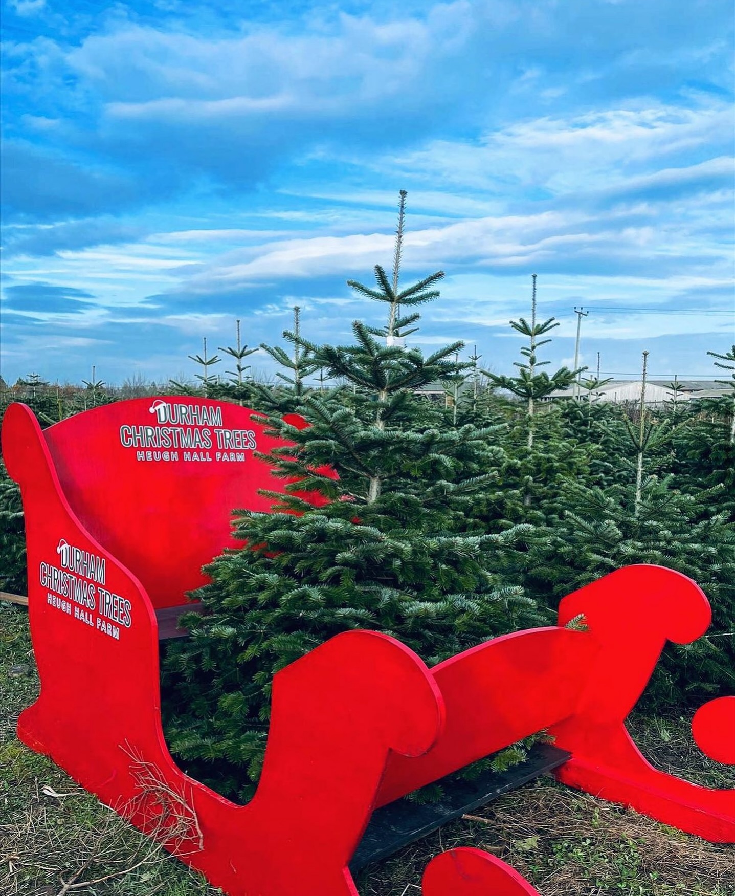 Only 12 sleeps until we reopen at 10.30am on SATURDAY 23rd NOVEMBER 2024🎄🪚
📆 See our website for updated slot availability, book online at durhamchristmastrees.co.uk
🎪 We will be operating under shelter again this year, located next to our pick your own plantation - our freshly cut Nordmann Fir trees up to 12ft, Christmas tree stands & refreshments will be available to purchase here.
🥾 Please remember to wear wellies or walking boots when visiting the PYO plantation
☕️ Refreshments are available
🛷 Christmas trail for all to enjoy (dogs must be on a lead) 🐕🦺
🎄CLICK AND COLLECT - message us with your requirements and we can choose the perfect tree for you
#outdooractivities #locallysourced #freshlycut #pickyourown #PYO #durham #christmastrees #northeast #durhamchristmastrees #heughhallfarm #smallbusiness #christmasiscoming #nordmann #fir #norway #spruce