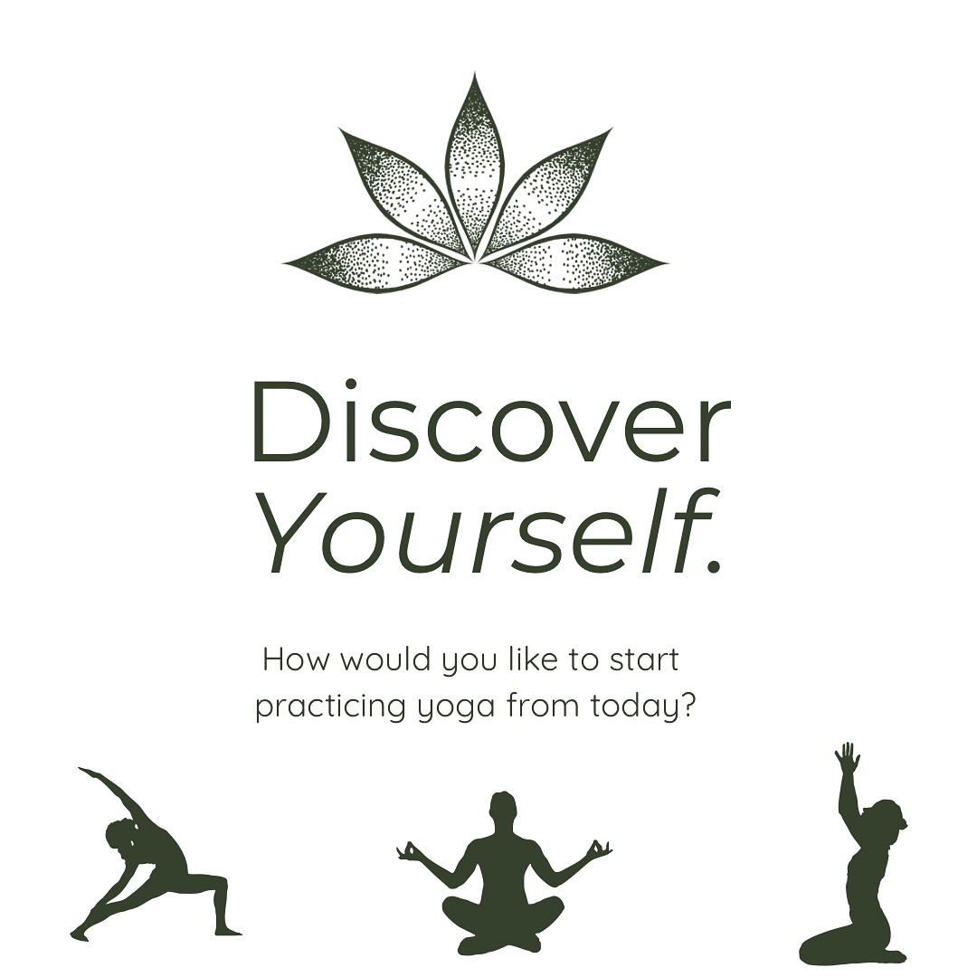 Step into a space of growth, learning, and transformation. Our yoga programs are designed to support your journey, every step of the way. 🌱