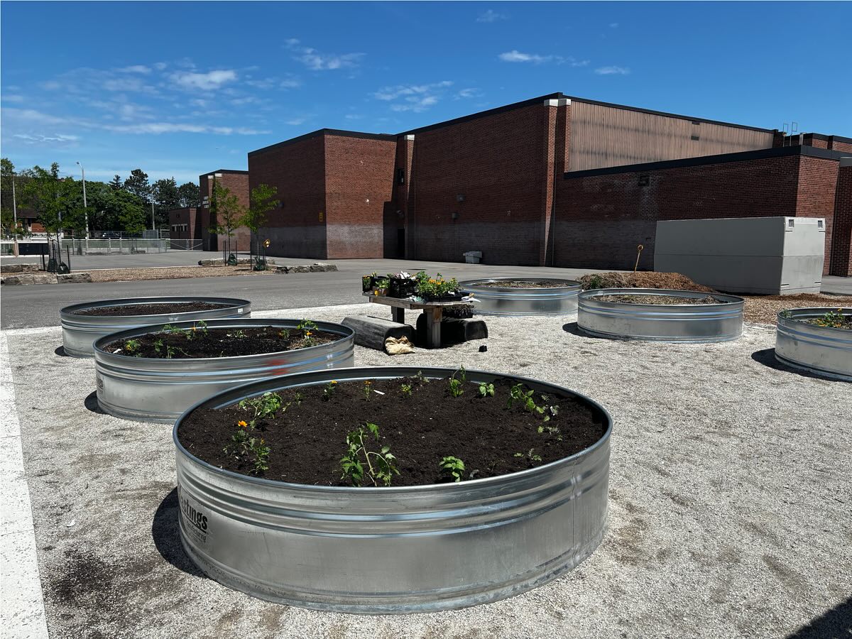 Check out our new site at Elmbank Junior Middle Academy! 🌳🍎 We’re creating an accessible garden to enhance inclusivity and community engagement. Join us in our mission! #PACTUrbanPeaceProgram #InclusiveCommunity