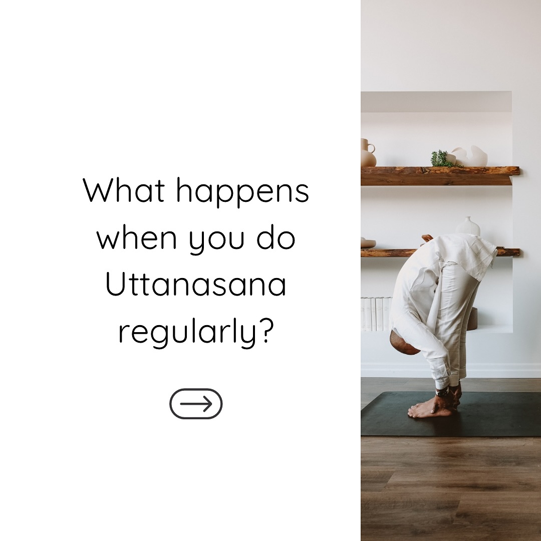 Find your balance, flexibility, and peace at Yogshala. Embrace the journey to a healthier, calmer you! 🌿✨
Join our peaceful 7 am 🌞Sunrise Semi-Group Class to start your day with energy, or unwind in our relaxed 7 pm 🌚 Evening Semi-Group Yoga Class. Find your flow at Yogshala! 💯🧘
#experienceyogshala #montrealyoga #mtlyoga #westmountyoga #yoganearme