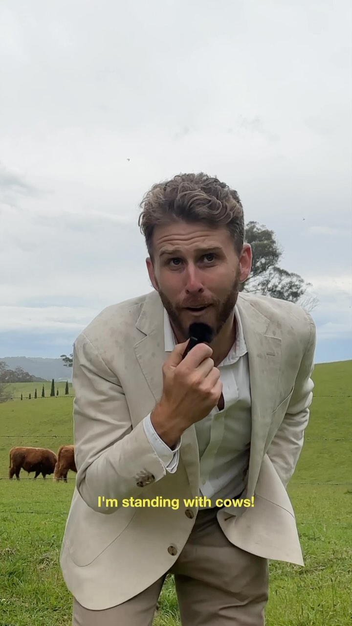 Tell a nice story they said, it won’t rain they said.
They lied.
No cows were harmed in the making of this masterpiece.
#weddingcelebrant #funcelebrant #celebrant #wedding #satire #cows