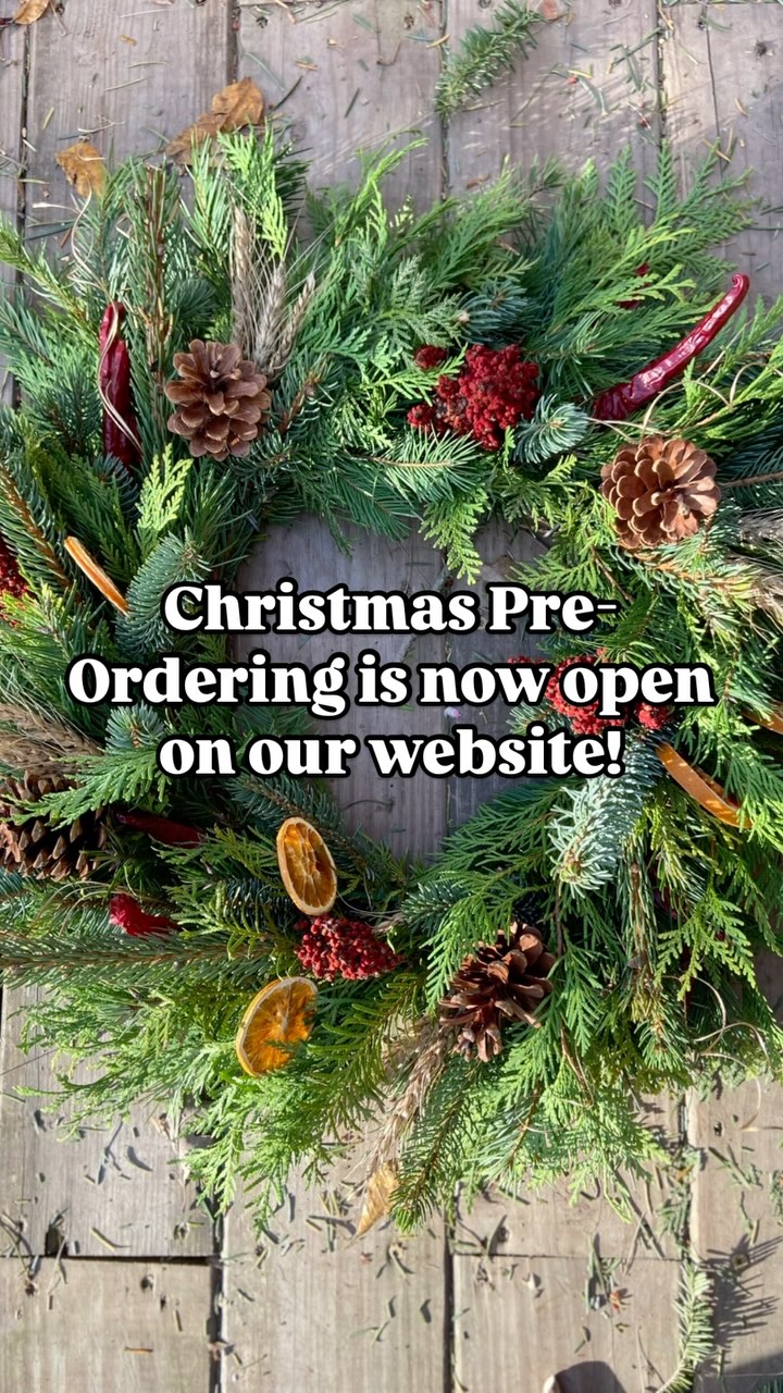 Want to secure your Christmas wreath, centerpiece or Kissing Ball? Order now on our website (https://www.walkingwindfarm.com/shop)for delivery to our regular farmers markets starting Nov 30th. Link is also in the bio! #walkingwindfarmandflorist #clarkevafarmmkt #oldtownalexandriafarmersmarket #berryvilleva #clarkecountyva #oldtownalexandria