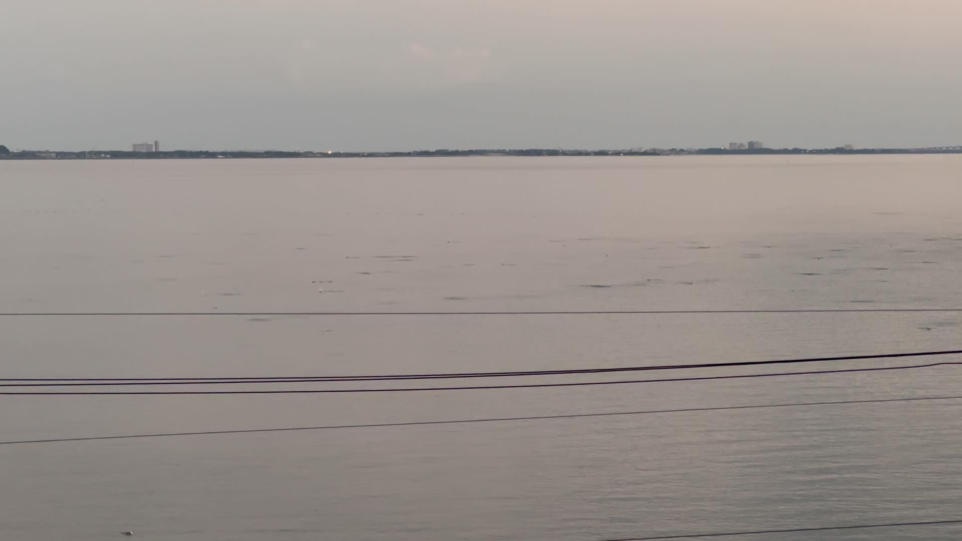 夕刻の静かな浜名湖に響く魚の跳ねる音。ボラ?かなあ
こんなにたくさんは初めて見たかも