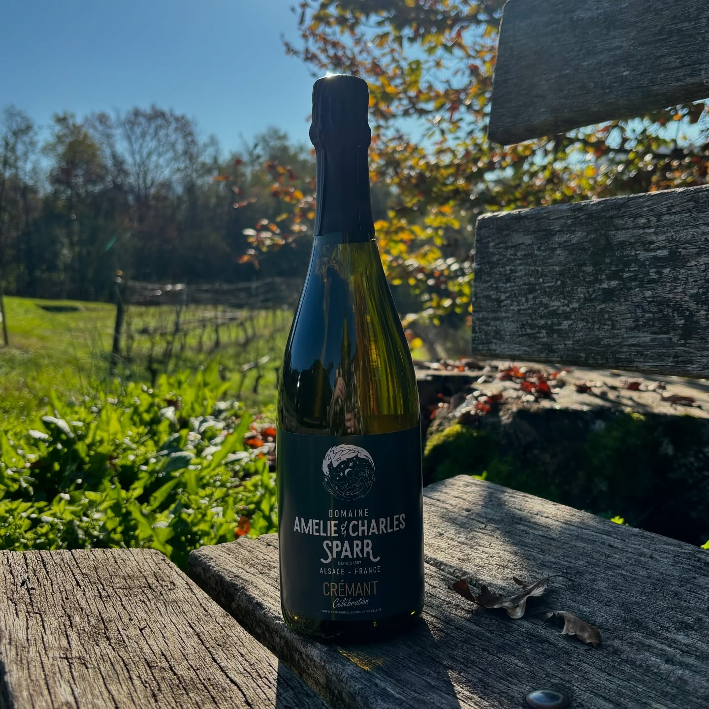 🫧 The Cremant is Back! 🫧
from Alsace by Amelie & Charles Sparr