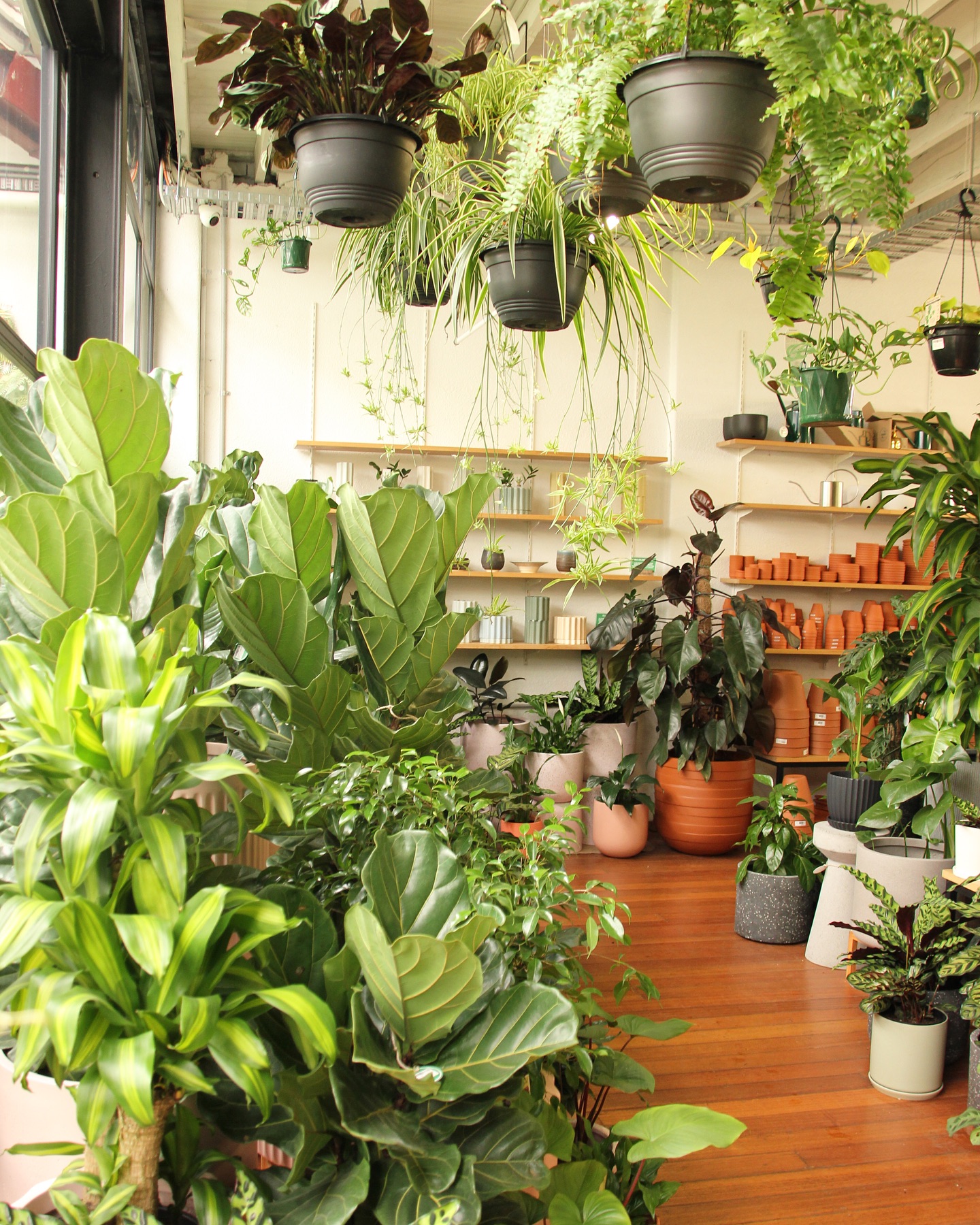 Our store is full of lush goodies ready for the weekend! 🪴
Open Saturday 10-5 and Sunday 10-4