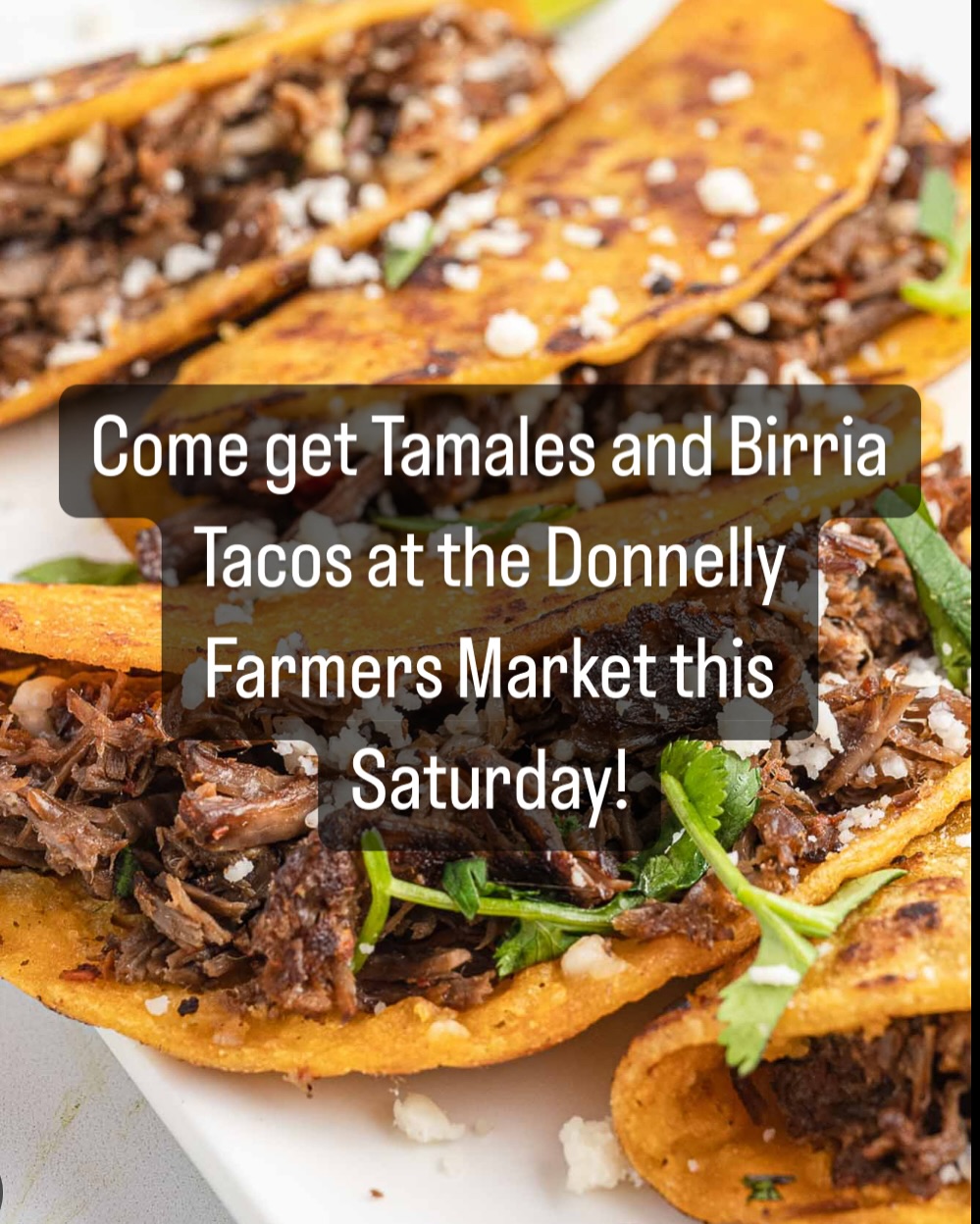 We have returned from Mexico and are back to work prepping for the next trip! Come out to the Donnelly Farmers Market this Saturday 11-5! We will have take home tamales and hot Birria tacos!
