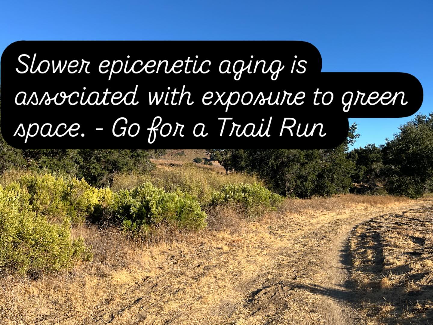 See you on the trails! Live longer, better #trailrunning #chirunning #outdoors #greenspace #marathontraining