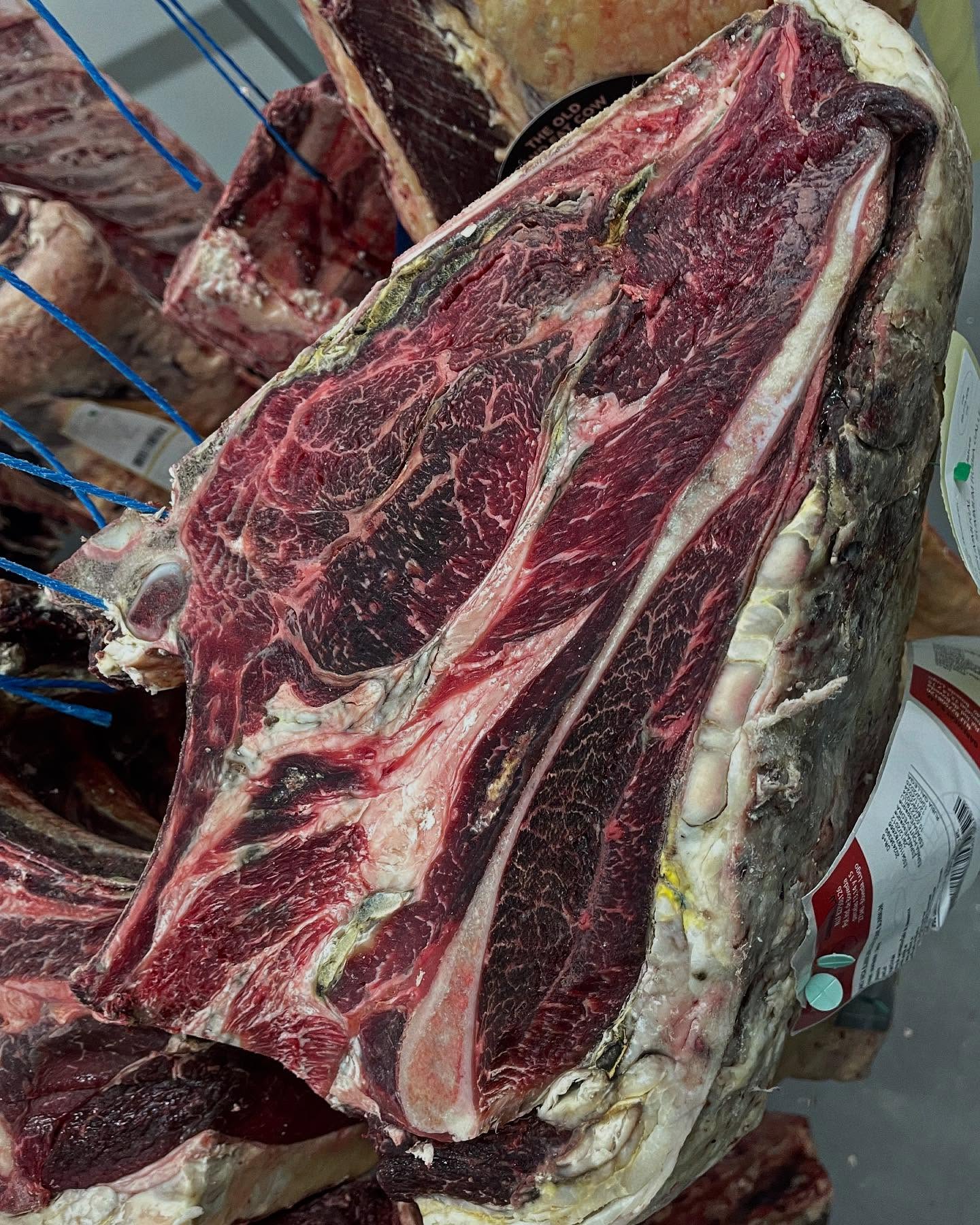 Arrivage de 2 Buey d’exceptions. Un Buey de la région Galice avec son magnifique gras jaune et un croisé. Ces déhanchés de 60 kilos raviront les papilles les plus exigences avec des saveurs incomparables #viandesmaturées #corbas #boucherielyonnaiseorigine #buey #galice