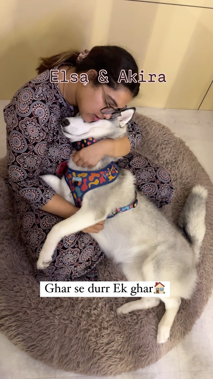 Your babies are our babies❤️✨
We made sure Elsa and Akira enjoyed their stay with love and comfort❤️❤️
#petcare #petboarding #petboardingmumbai #daycare #doggydaycare #mumbaipetslovers #trendingreels #petstudio #mumbaipets #petcafe #dogsofinstagram #trendingaudio #trending