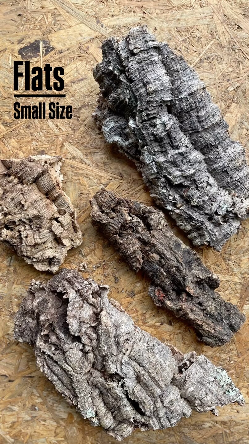 Cork Flats: Small Size
#corkflats #corkbark #terrarium #enclosure #enclosures #reptileenclosure #exoticpets #zoo #terrariumdesign