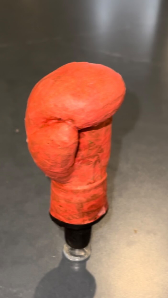 Let’s go Tyson vs Jake