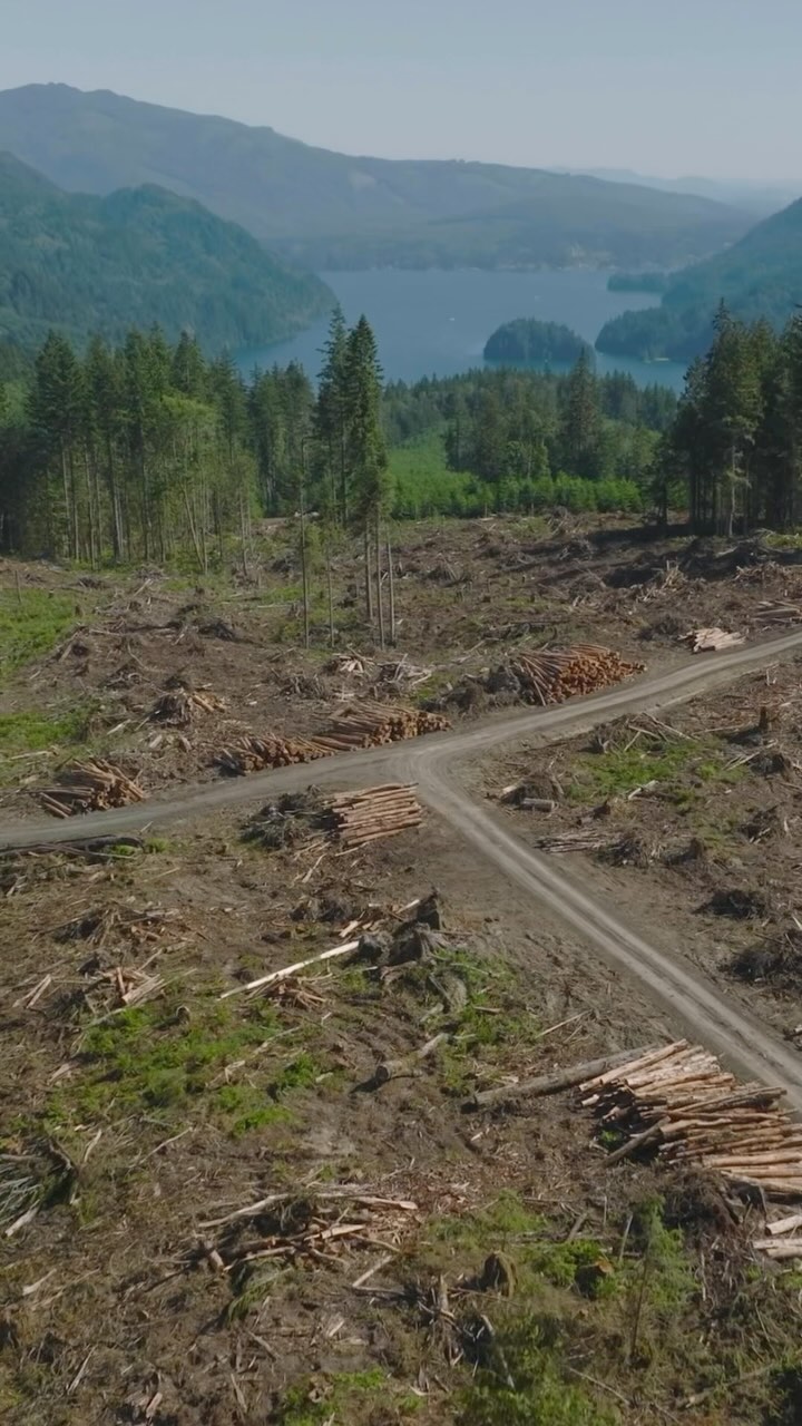 At the Board of Natural Resources meeting in Olympia Nov 5th: The Board Voted to approve 11 timber sales in legacy forests, despite overwhelming community opposition.
.
This was one of the most contentious BNR meetings ever and the room was packed with people wanting to save our remaining legacy forests. During the one hour public comment period, people boldly called out the DNRs behavior.
.
Two Board members, Chris Reykdal and Jim Cahill, thankfully made a motion to pause the sales. Unfortunately, Reykdal and Cahill failed to get a majority vote, meaning that the original motion to approve the sales, made by Hilary Franz, was approved, four to two.
.
Legacy Forests make up less than 5% of DNR-managed lands but face a high rate of logging. We must keep fighting to protect them.
.
#saveoldgrowth #theolympicpeninsula #WorthMoreStanding #washingtonstate #stopoldgrowthlogging #oldgrowth #conservation #elwhariver #forestdefenseisclimatedefense #climatechange #protectlegacyforests #climateaction #noclearcuts #pnwonderland