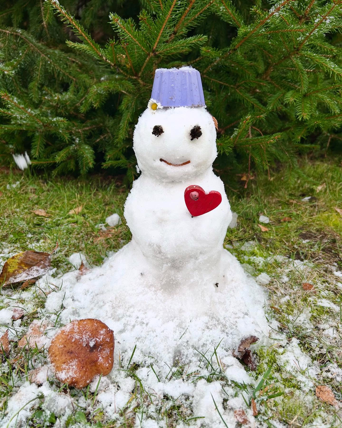 Guten Morgen wünscht der womöglich niedlichste Schneemann ever aus dem leicht verschneiten Norden… 😊☃️
.
.
#cutestsnowmanever #cutesnowman #firstsnowoftheyear #webuiltasnowman #happylittlesnowman #happysnowman #schneemann #spreadlove #picturesthatmakemehappy #winteriscoming❄️ #winterinthemaking #cutenessoverload #schneemannbaby #minischneemann #ersterschnee❄️ #letitsnow❄️⛄️ #ohtheweatheroutsideisfrightful #welovesnow #winterkind #snowinnovember