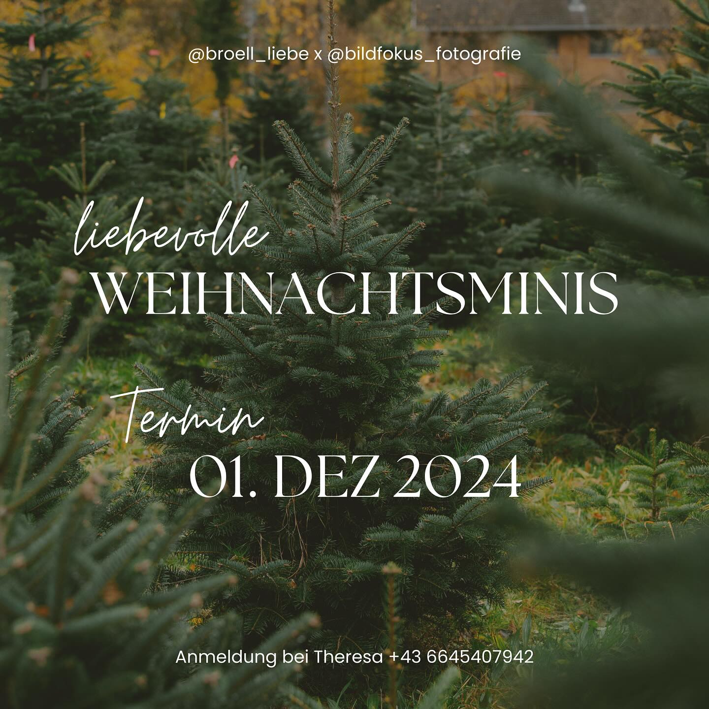 Weihnachtsminis 2024 🎄
Weil meine Weihnachtsminis letztes Jahr sehr guten Anklang gefunden haben, dieses Jahr erneut und in neuer Formation - hab mir einen weiteren Profi dazugeholt 😍
Mit zwei Sets und doppelt soviel Liebe für die Fotografie bekommt ihr bei uns ein einzigartiges Shooting und wunderschöne Erinnerungen für die Ewigkeit ✨
In einer Woche ist es soweit - seid schnell und sichert euch noch einen Termin! 📅
Wir freuen uns auf euch! 🥰
@broell_liebe x @bildfokus_fotografie 🤍