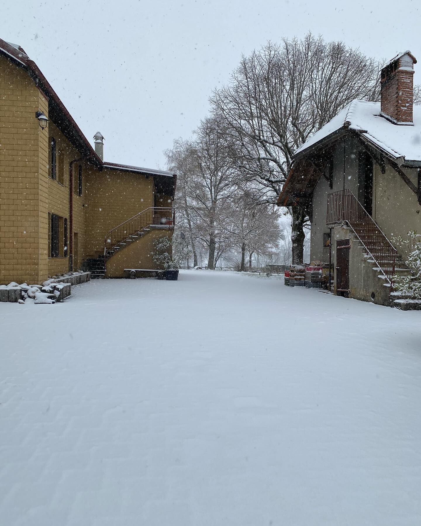 We are excited for the first snowfall this year ❄️