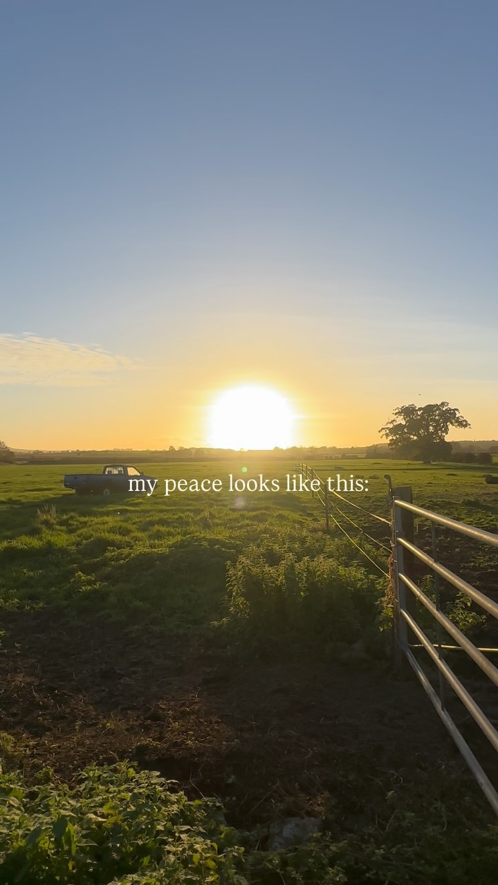 The walks are one of my favourite parts of the retreats.
Reflection, deep chats & just being in nature 🌿✨