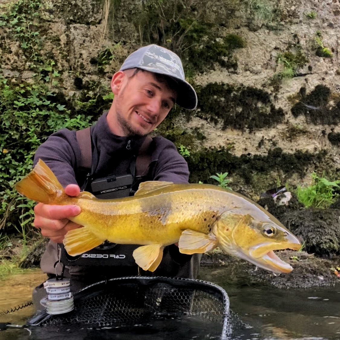 Ça commence à me manquer et vous ? 😁
Une belle truite sauvage toute jaune en sèche sur une ORL Halieutique H16 prise au mois de juillet. Une beauté de la nature ❤️
@orionflyfishing
#truite #truites #truitefario #truitesauvage #pechealamouche #pecheenfrance #pecheautoc #pêcheennymphe #nymphs #nymphe #pechetruite #trout #troutfishing #troutbum #troutflies #troutfly