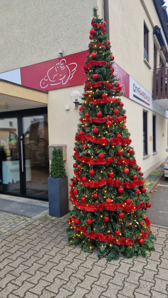 Weihnachtsbaum Aufbau im Zeitraffer
#Weihnachtsbaum #xmas #kitzingen #cityfahrschule #zeitraffervideo #Installation