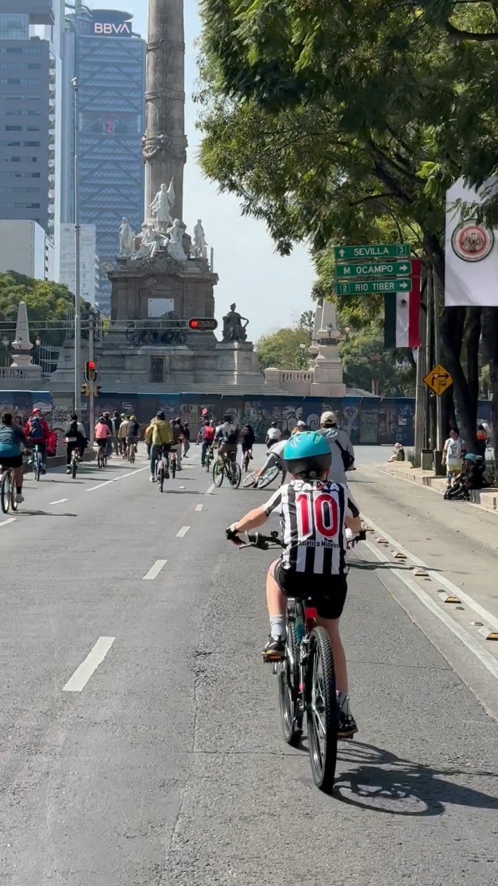 🎶
“Hay que ser fuerte para sobrevivir en esta selva gris”