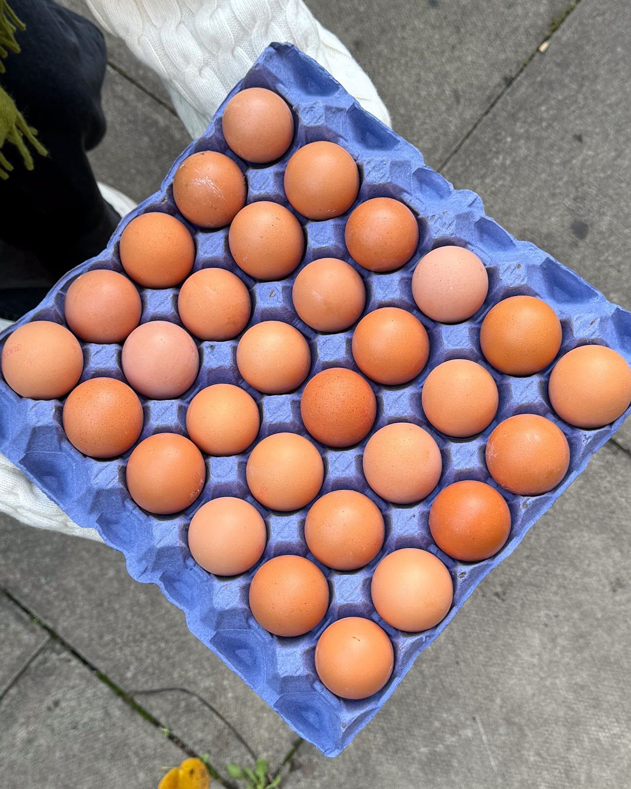 How do you like your eggs in the morning?
Versatile and nutritious, we receive a generous weekly donation of eggs from @turnipsborough.
For only £4.50 you can choose up to 16 items from our shop. Half a dozen eggs is equivalent to just 2 yellows or 1 pink item.