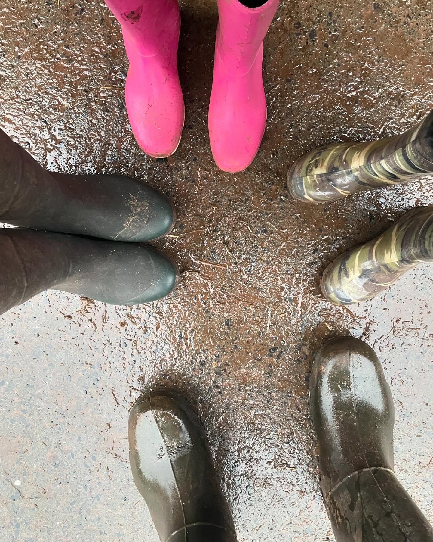 Wear your wellies day.
Supporting our farming/rural community.
#backbritishfarming #britishfarming