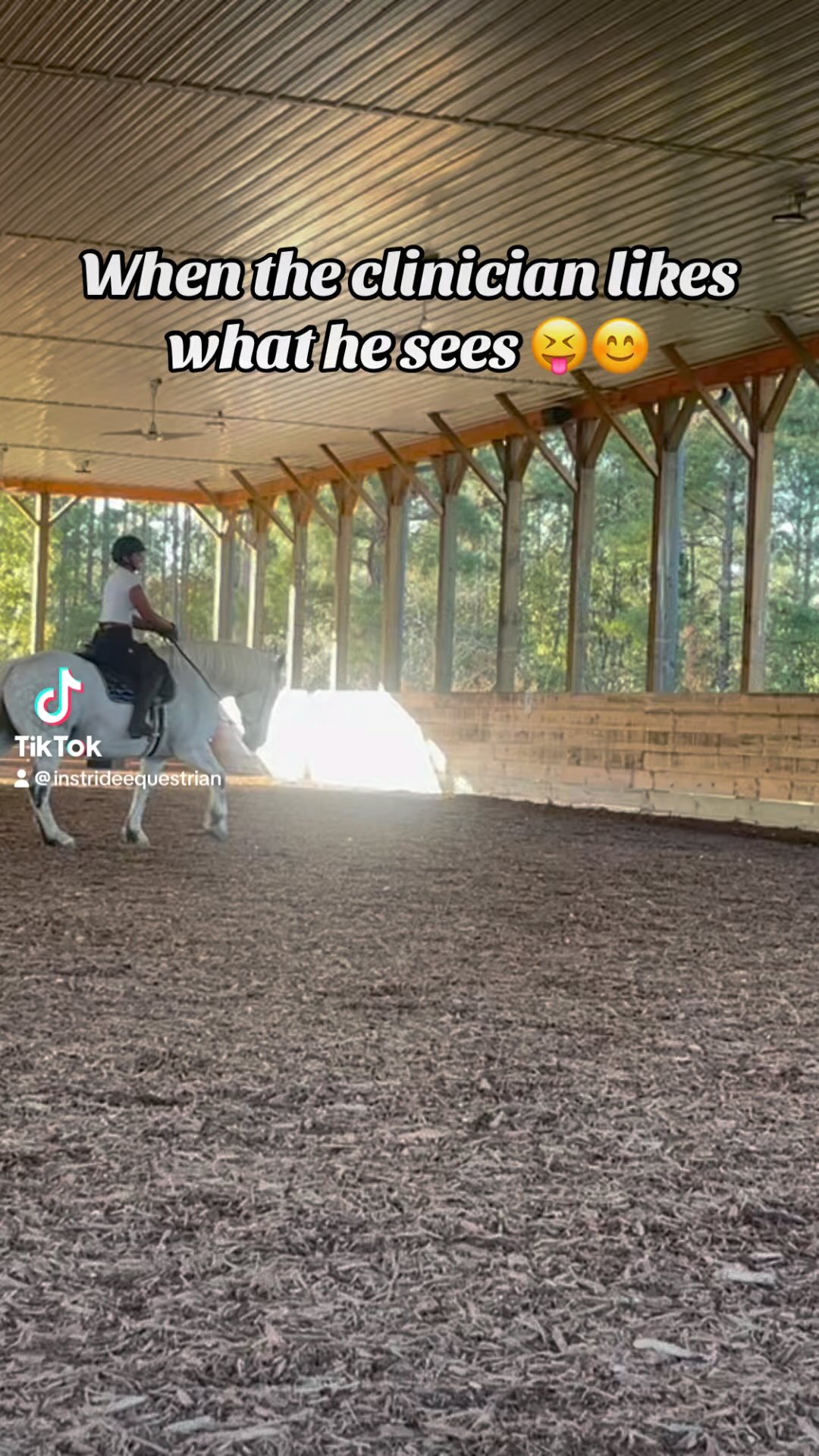 Some overdue hi lights of Ollie and I riding in the Gerd Heuschman clinic! We had a wonderful ride and Gerd was very impressed 🥰. Aside from getting some good exercises to do with Ollie to take things to the next level, this clinic also lit a fire in me again. A fire to get back out there and start showing again. This fire had burned out when Mandi passed away and I honestly didn’t even think about it anymore. I also don’t feel that going out there and showing is a landmark for being a successful rider but it was always something I enjoyed in the past. That feeling is back and I am so looking forward to getting back out there and showing ppl that you can in fact train, show and be successful as a classical rider, a woman of color and an ethical trainer. We need to see better examples of what that truly looks like out in the show ring ❤️
And I cannot be grateful enough for my horses and how incredible they all are! None of this would be possible without them
#classicaldressage #gerdheuschmann #clinic #pocequestrian