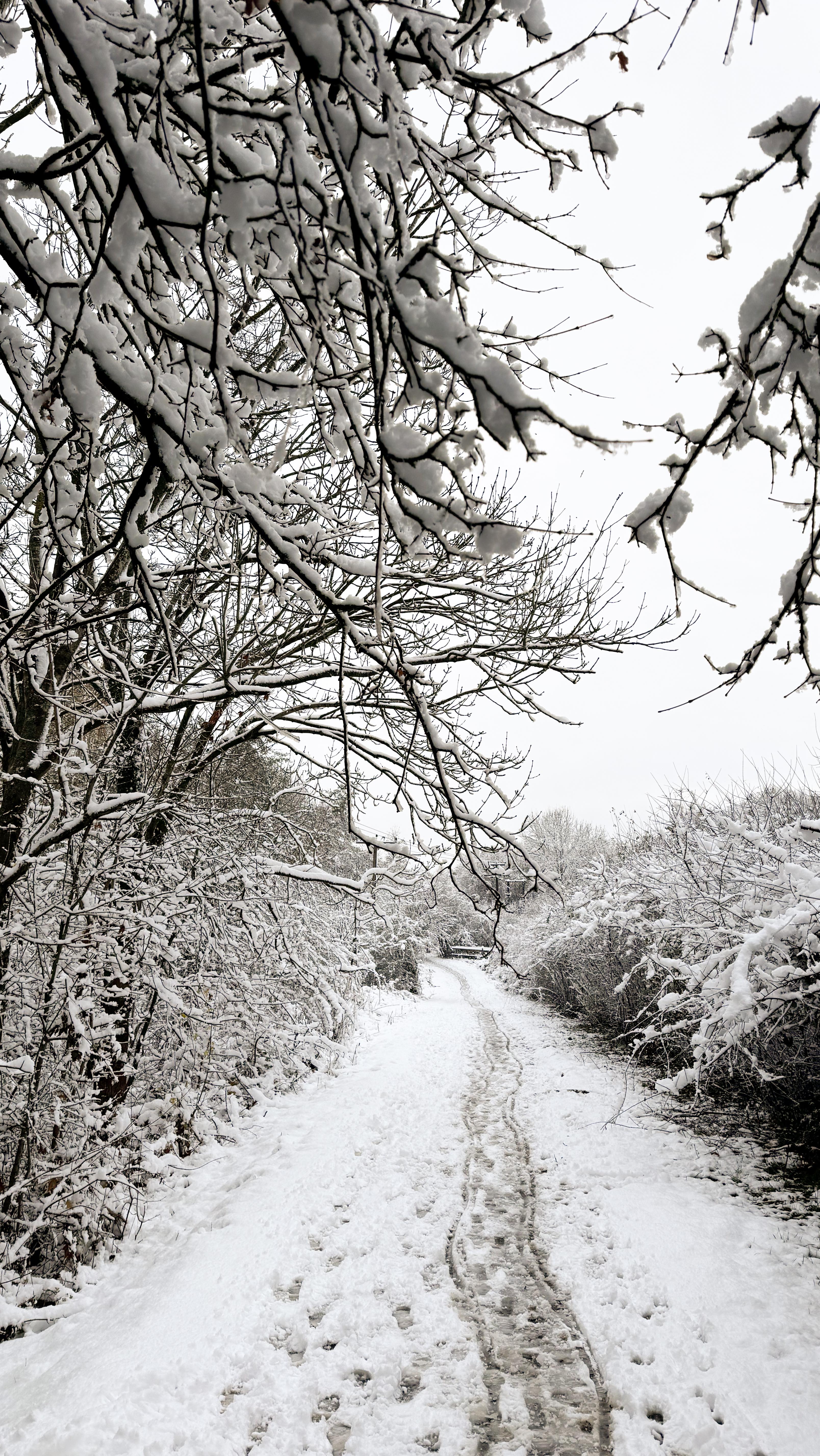 Not wedding related at all but I couldn’t resist posting more from our walk this morning. It was so pretty!! I think after a weekend doing all things festive in London and then this I’m now in full on Christmas mode!
.
If you’re feeling festive too there are still tickets available for our Table centrepiece and decor workshop at @theoatshed on December 6th! It’s going to be such a lovely festive evening! So grab some tickets and bring a friend and get warm, cosy and creative with us! Mulled wine and festive treats available too! For more info click the link in my bio!
.
#snow #snowday #winter #winterwedding #christmastime #festiveworkshop #tablecentreworkshop #creativeworkshop #christmasevents