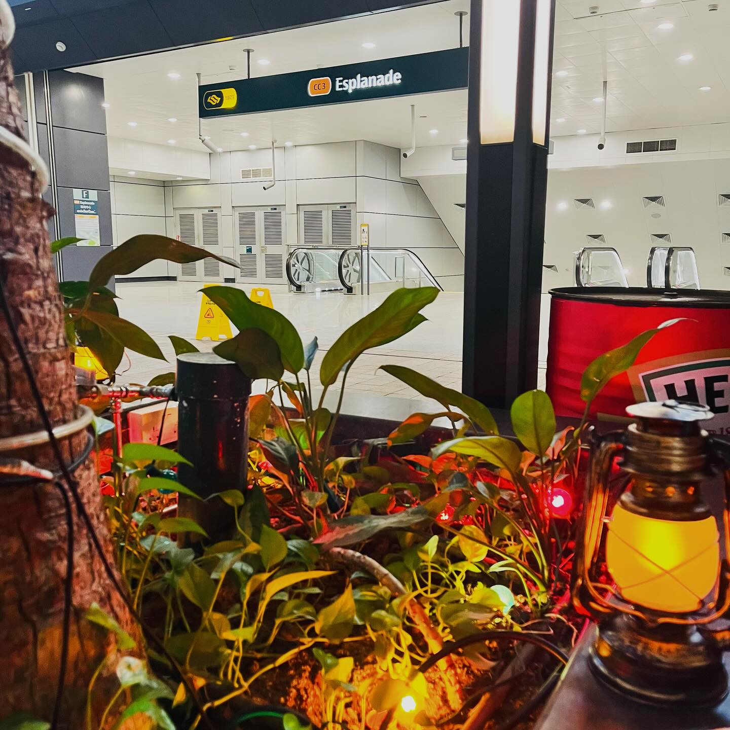 We are located right outside Esplanade MRT, exit F!