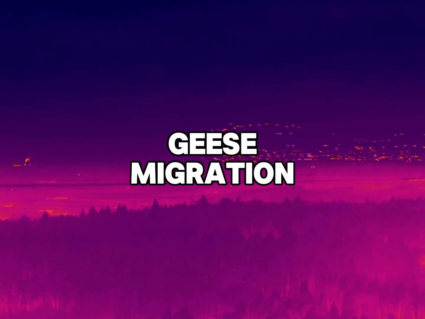 Geese Migration
📍 Central Belt of Scotland
#BHWildlifeConsultancy #BHWC #drone #dji #dronephotography #dronestagram #drones #droneoftheday #dronelife #djiglobal #aerialphotography #nature #djimavic #dronepilot #dronevideo #droneshots #dronefly #landscape #aerial #matrice #geese #geeseofinstagram #geesemigration #migration #scotland