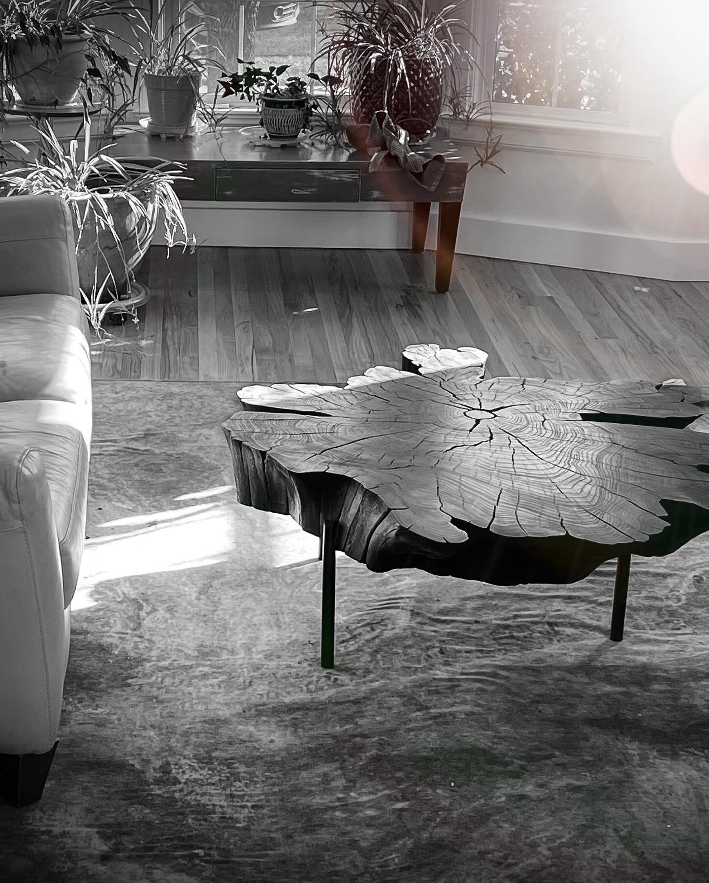 Simple tidbits of the Stumpf Woodworks show this month. Big big tables. Little intricate details. Lots of moving parts. Let’s focus on the beautiful things 🦚
#StumpfWoodworks #MakeGaragesDirtyAgain