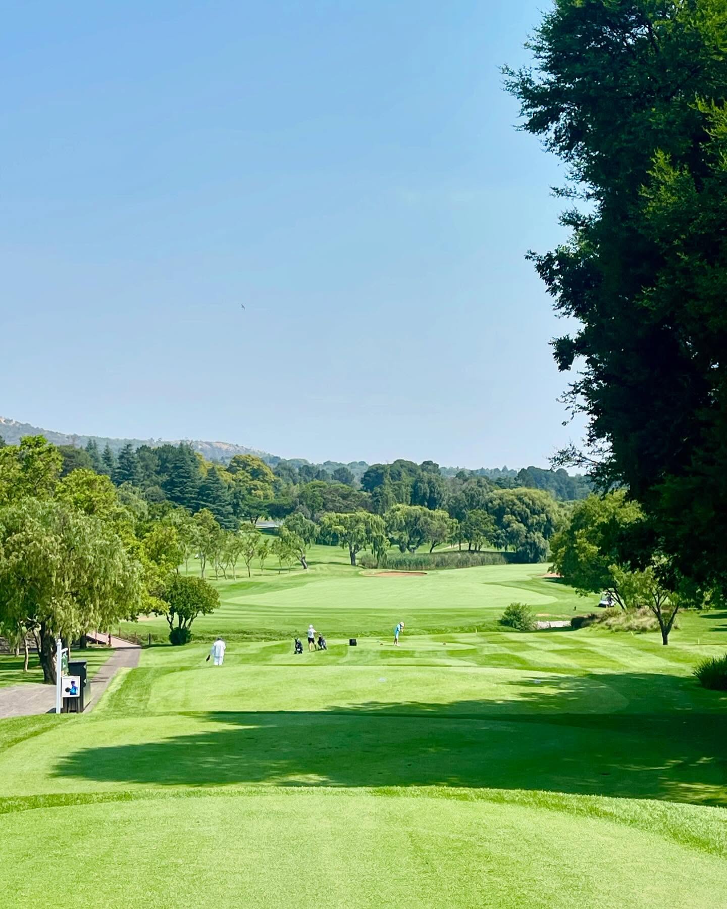 Randpark Club, Firethorn, sweet dreams are made of this. @randparkgolfclub #theeurythmics #sweetdreams #nofilterneeded #golfcourse #fpy