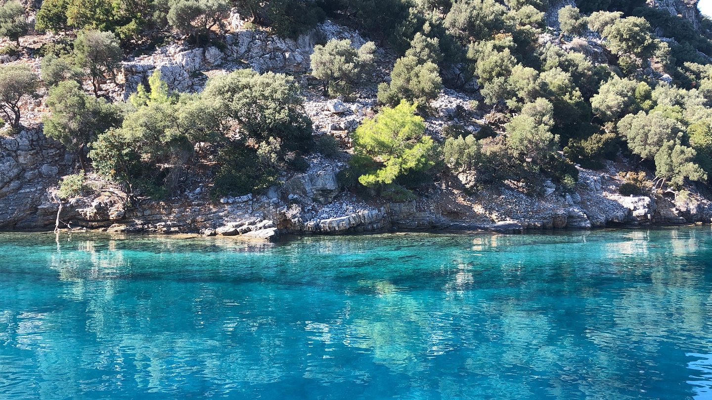 Donât miss our âEarly Booking Discountsâ up to 25%
#miknatisyachting â”ïž
.
.
.
#yachtcharter #vacation #bareboatcharter #sailing #sail #sailaway #sea #sand #beach #travel #marmaris #turkey #tĂŒrkiye #bodrum #göcek #selimiye #bozburun #fethiye #sailingdestinations #island #islandlife #lifestyle #love #fun #holiday #tatil #luxury #isolation