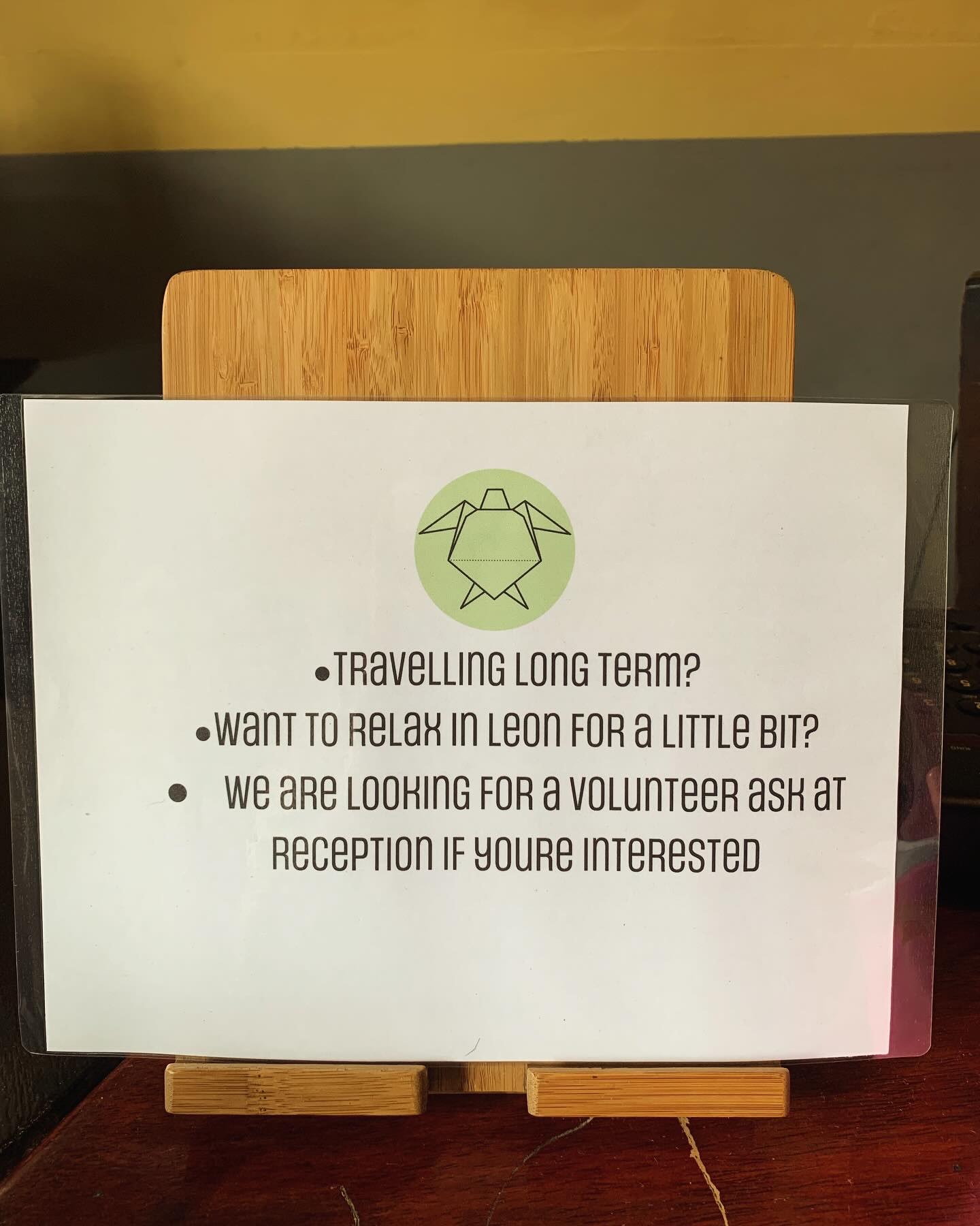 Want to spend a couple of weeks with us in Leon? Free bed and breakfast sound nice? Get in touch!