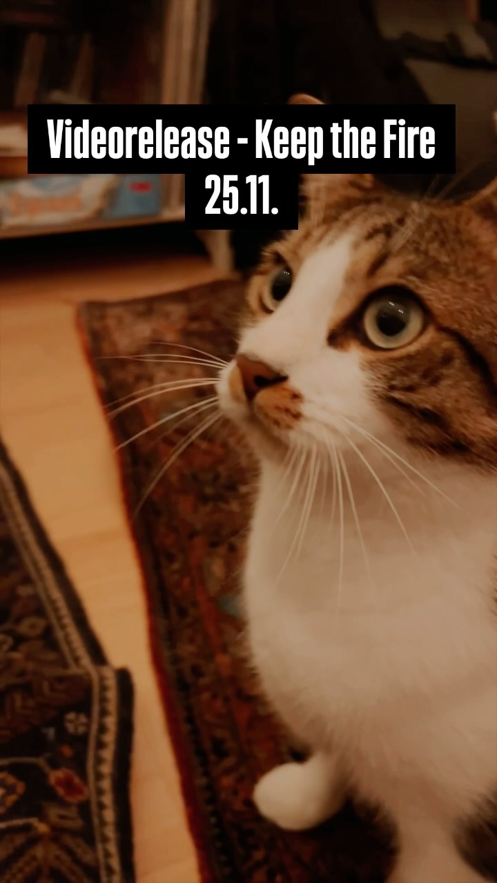 Luís Tavinho übernimmt hier jetzt mal unser Social Media… Katzen haben da einfach übernatürliche Fähigkeiten… True Story!
Ist euer Feed auch von ihnen beherrscht?
#catsofinstagram #luistavinho #socialmedia #catssocial #management #keepthefire #jupiterorbitescape