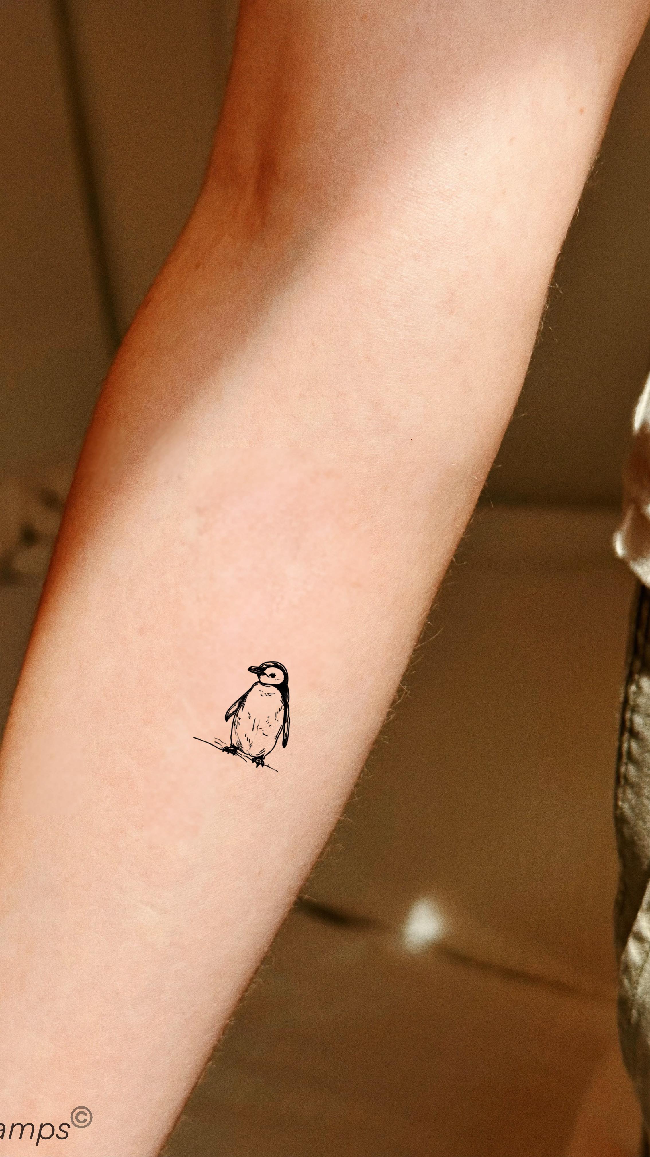 Sound on for a dose of #asmr
Plant-based natural 1-2 week tattoos! Get 3 for 2 with code: 3INKSTAMPS
Quick delivery worldwide dispatched from London 🇬🇧! Free delivery for orders over £20💫
Shop now: www.inkstamps.co.uk | Link in bio.
.
.
.
.
.
#inkstamps #tattoolondon #minimalisttattoo #fingertattoos #fingerstattoos #flowertattoo #cosmictattoo #zodiactattoo #universetattoo #linework #delicatetattoo #smalltattoo #moderntattoo #portraittattoo #semipermanenttattoos
#matchingtattoos #hearttattoo #moontattoo #1weektattoos #theartoftattoos #tattoomagazine #temporarytattoos #coreantattoo #coreanstyletattoo #fineline #singleneedletattoos