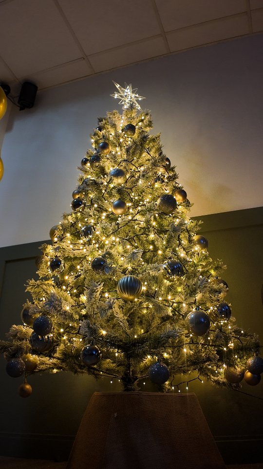 🎄 It’s beginning to look a lot like Christmas at The Hair House! 🎅✨
We’re decking the halls and sprinkling festive magic all around the salon to get you in the holiday spirit. Whether you’re coming in for a refresh or a full transformation, let’s make your visit extra merry and bright! 💇♀️🎁
📅 Don’t forget to book your holiday appointments early – spots are filling fast!
✨ Let's celebrate the season in style!
#SalonChristmasVibes
#DeckTheHalls
#FestiveSalonFeels
#HolidayHairGoals
#MerryAndStyled