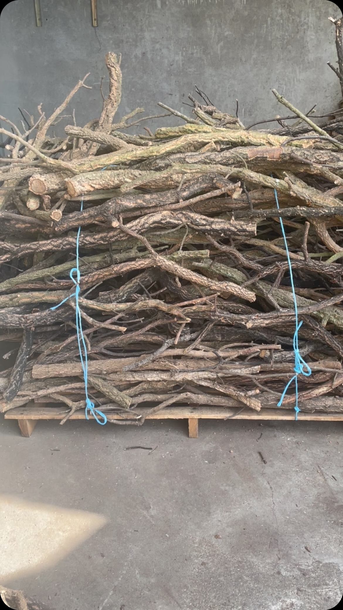 Cork Branches
Customized by length, shape and diameter
#corkbranches #driftwood #driftwoods #driftwooddecor #woodart #corkbark #petsupplies #gardendesign #gardendecor #enclosure #exoticpets #exotics #reptileenclosures #birds #birdcage #petcage #tree