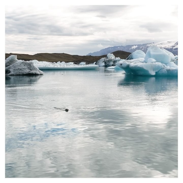 Best of Iceland
#iceland #icelandtrip #icelandadventure #icelandelopement