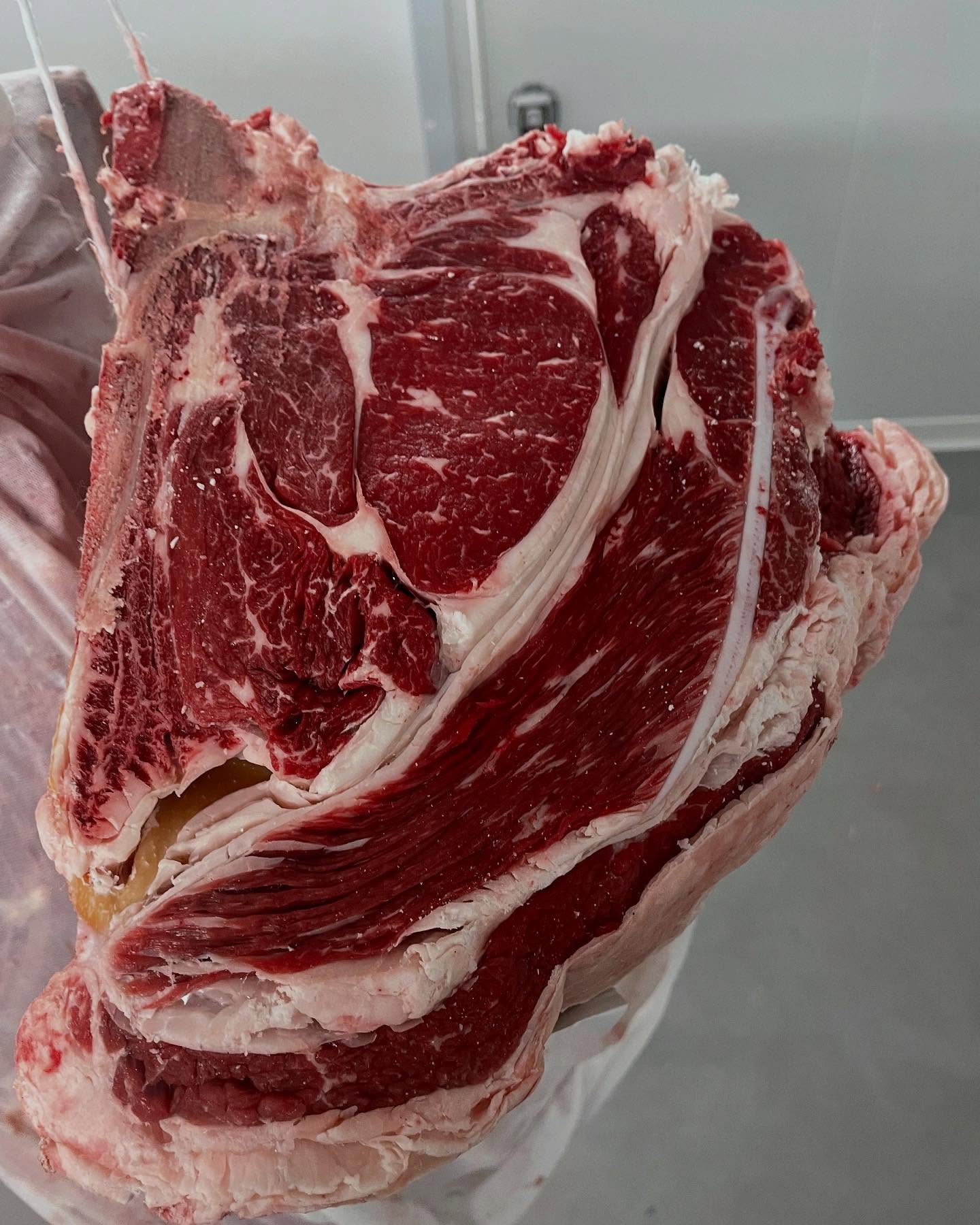 J’avais de belles courbes, j’ai été aimée, choyée bien nourrie et bien élevée. Je suis une génisse de race Charolaise, mon meilleur finish sera de me poser dans votre assiette… qui veut de moi ? Un petit cadeau gourmand à la plus belle déclaration d’amour #viandesmaturées #corbas #boucherielyonnaiseorigine