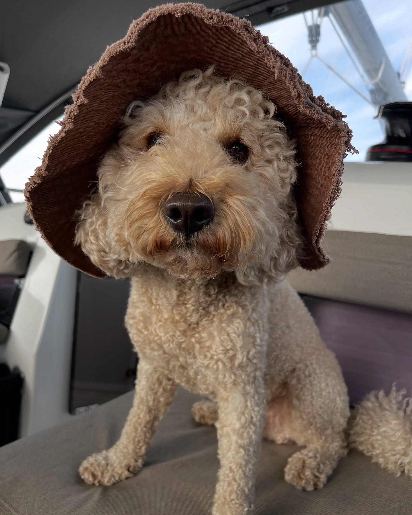 Can’t think life without them! Did you know that we welcome all our pet friends with pleasure?
.
Don’t miss our discount opportunities of up to 25%!
.
MIKNATIS Yachting
.
.
#vacation #yachtcharter #bareboatcharter #sailing #sail #sailaway #sea #sand #beach #travel #marmaris #turkey #türkiye #bodrum #göcek #selimiye #bozburun #fethiye #sailingdestinations #island #islandlife #lifestyle #love #fun #holiday #tatil #luxury #isolation