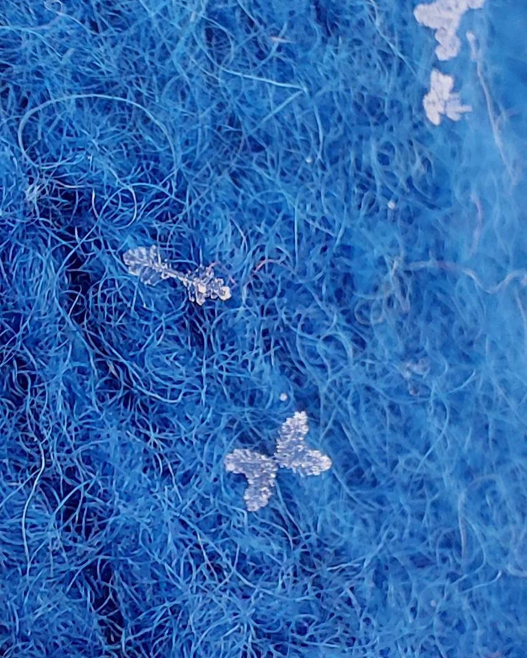 Flott bilde tatt på vår fototur idag. Snøfnugg fanget på ullvott🤍 vi gleder oss til vinteren. Ønsker alle en riktig god helg❄️❄️