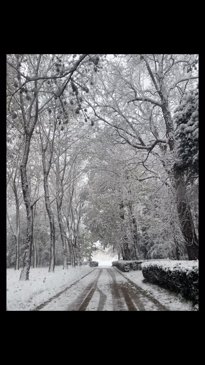 Snow day at the Château ❄️⛄️🌲