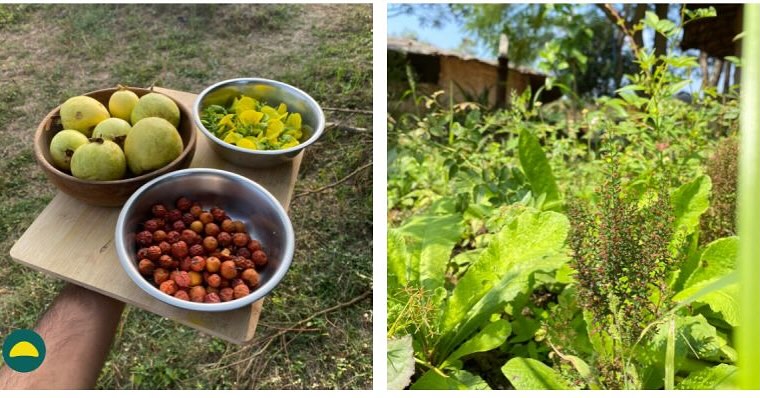 “If my legs get better, I’ll be the richest!” - Shanti, 52, Delhi
Shanti shares her hopes during today’s morning circle at camp.
“Since gaining weight, my life became sedentary, and now I can hardly walk 100 feet at a time.
In the 90s, I was selected for a government job with my first posting in a different city. But my family wouldn’t allow me to move away and work. They thought it was not safe.
I often wonder - if I had been more determined, I would have had a wonderful career.
Since then, I’ve always supported my children’s freedom to follow their own paths.
I’m 52 now, and life can be exhausting. But I want a second chance. I’ve come for forest fasting to become young again. Sometimes, I dream of climbing hills and mountains.”
- - - - -
How can you support people like Shanti in your community?
1. Their family can’t bring much change, outside encouragement helps.
2. Encourage them to travel and try new experiences
3. Celebrate their courage to change
4. (comment your suggestion? )
- - - - -
Humans of Moodforest
#midlife #longevity #lifechange #weightloss #forestfastingcamp